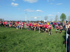 kaiyun 开云体育-全国青少年劳动体育竞赛各项赛事激烈进行，全国青少年劳动体育竞赛各项赛事激烈进行的原因