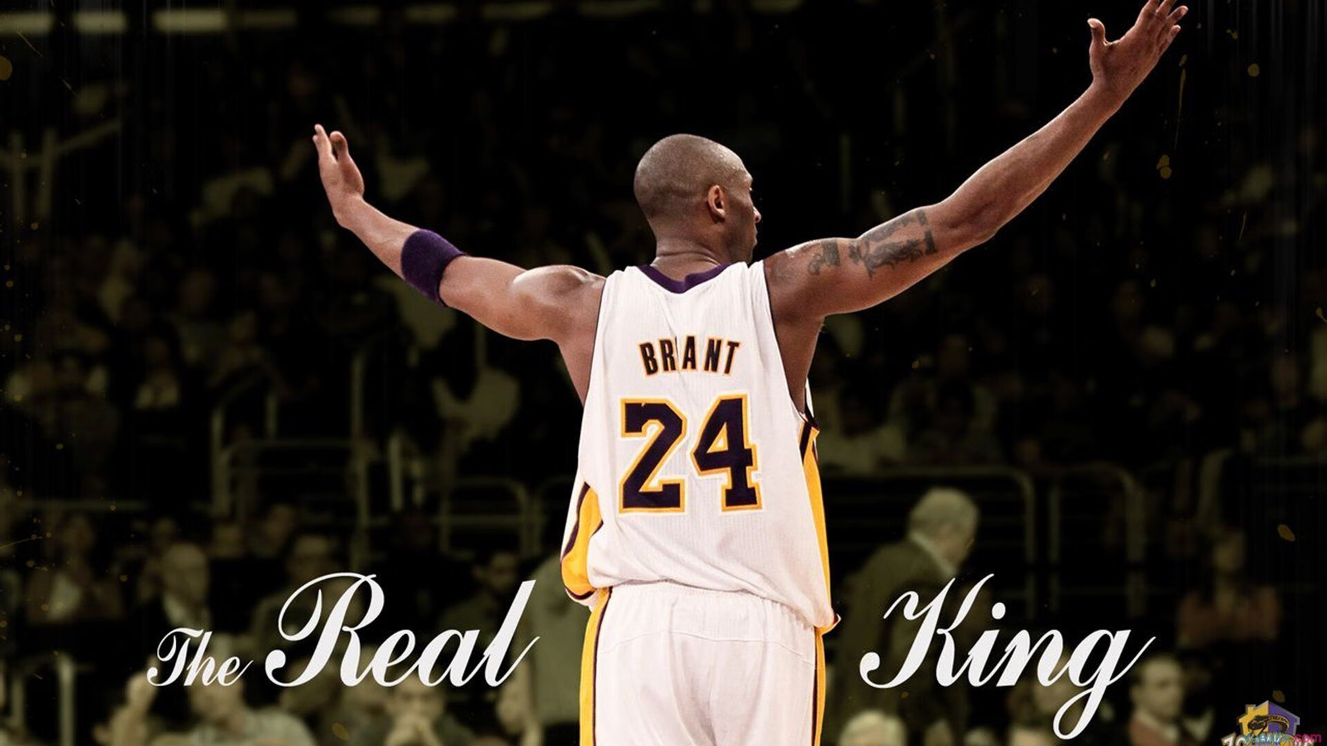 开云官网在线-电竞选手如何与粉丝互动：真诚交流与积极回馈，如何跟电竞选手谈恋爱